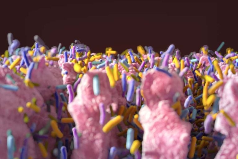 antibiotic induced colitis