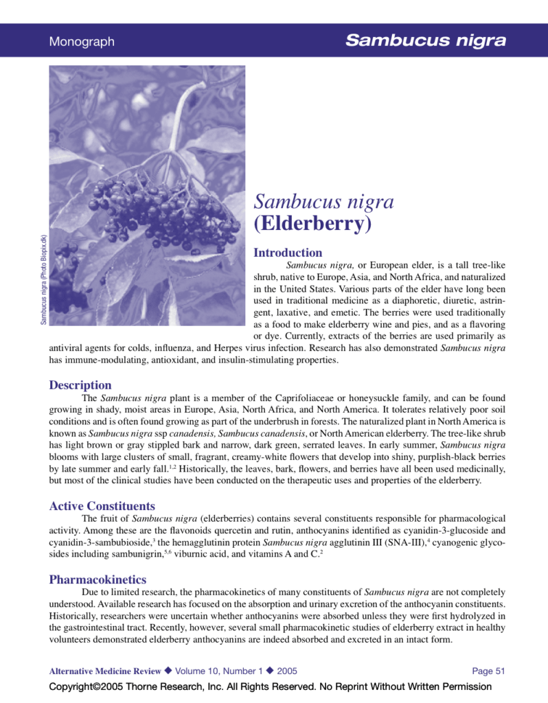 Sambucus nigra (Elderberry)