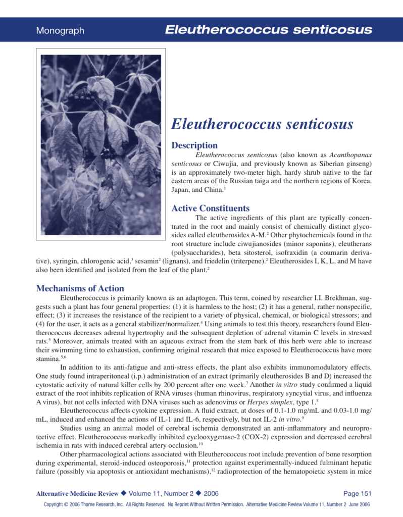 Eleutherococcus senticosus