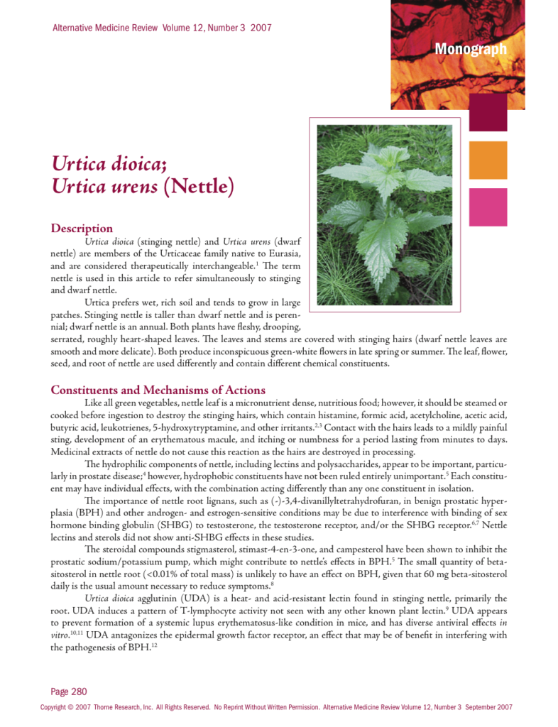 Urtica dioica; Urtica urens (Nettle)