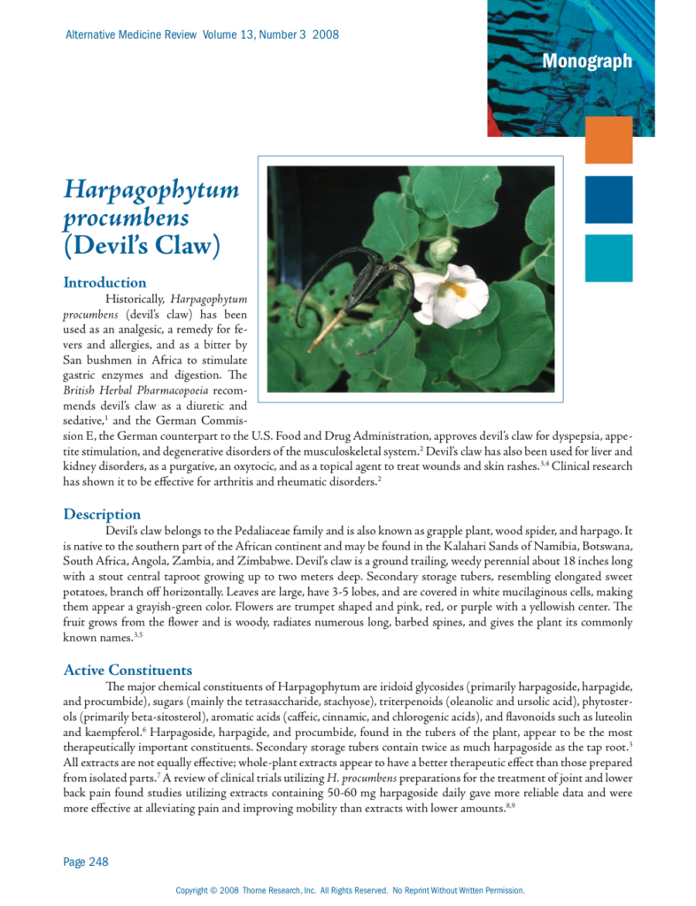 Harpagophytum procumbens (Devil’s Claw)