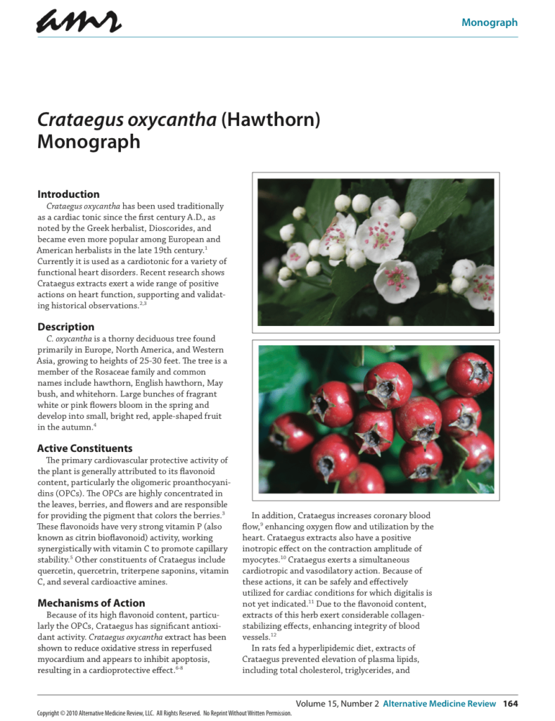 Crataegus oxycantha (Hawthorn) Monograph