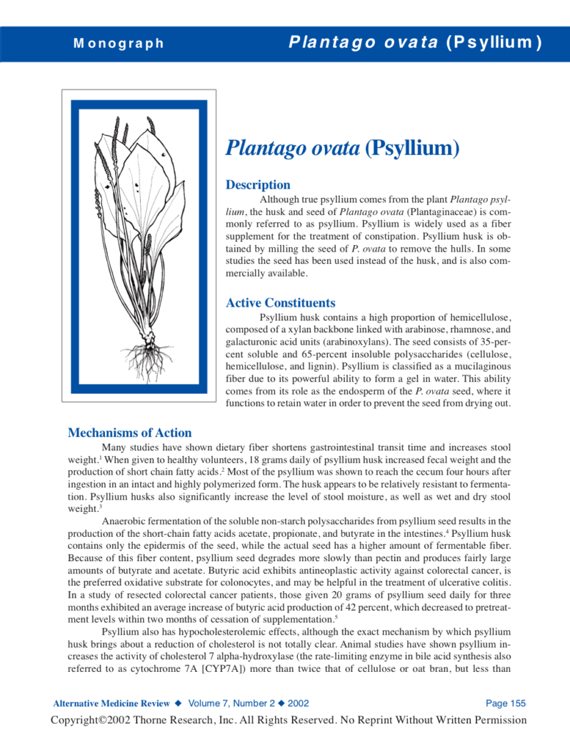 Plantago ovata (Psyllium)